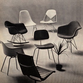 BellaDonaGALLERYPOSTTHIS